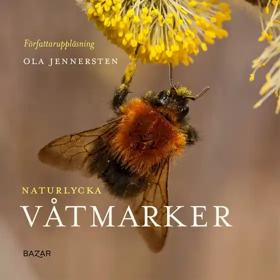 Rabatt Naturlycka - Våtmarker (ljudbok) av Ola Jennersten