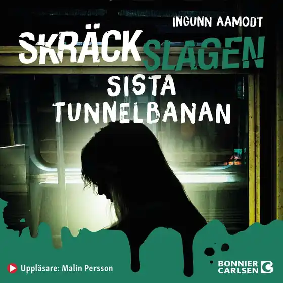 Sista tunnelbanan (ljudbok) av Ingunn Aamodt Billigare