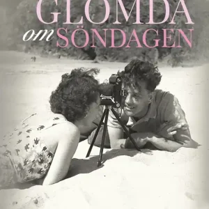 Fynd Glömda om söndagen (e-bok) av Valérie Perrin