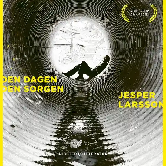 Den dagen den sorgen (ljudbok) av Jesper Larsson Rabatt