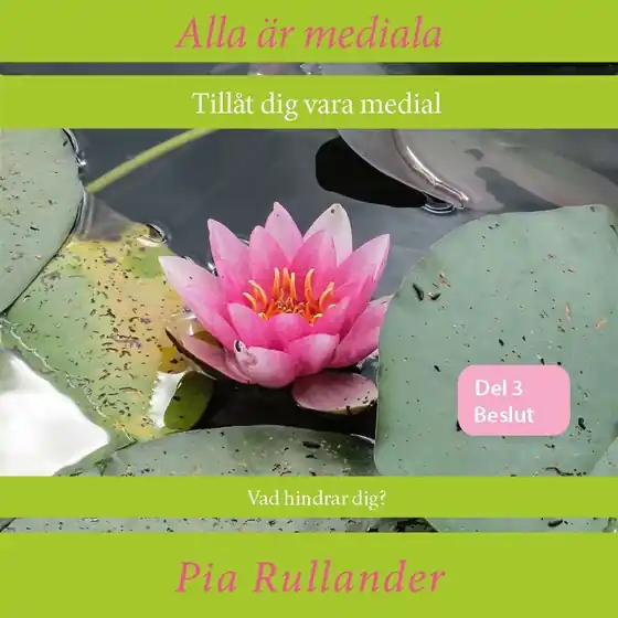 Alla är mediala. Tillåt dig vara medial: Vad hindrar dig? Att fatta beslut (ljudbok) av Pia Rullander Sista chansen