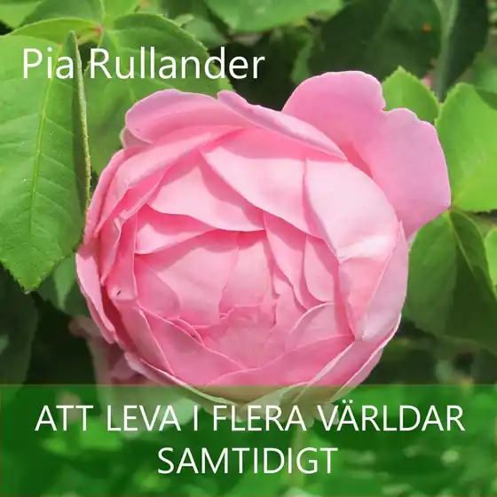 Att leva i flera världar - samtidigt (ljudbok) av Pia Rullander I lager