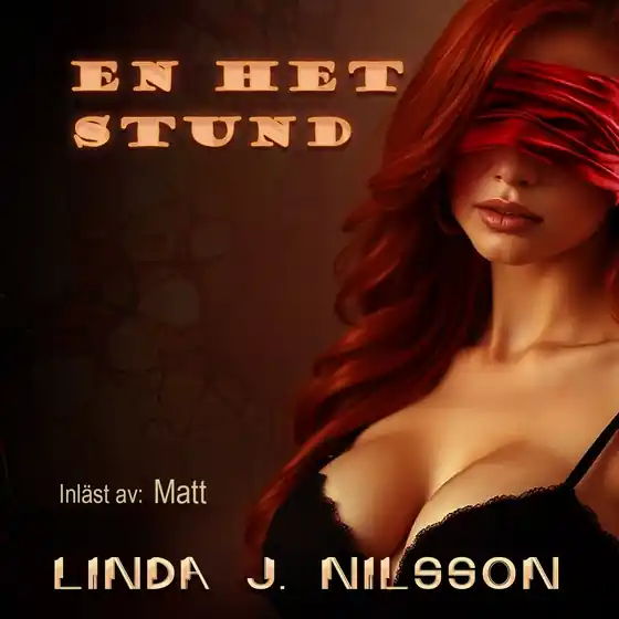 En het stund (ljudbok) av Linda J. Nilsson Populär