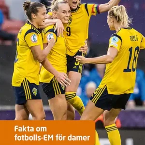 Fakta om fotbolls-EM för damer (e-bok) av Tomas Dömstedt Rea