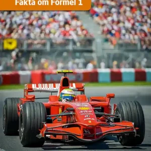 Kampanj Fakta om formel 1 (e-bok) av Lasse Højstrup Sørensen