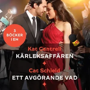 Kärleksaffären / Ett avgörande vad / Dubbla roller (e-bok) av Anna DePalo Kampanj