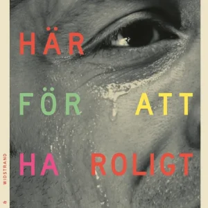 Rabatt Vi är inte här för att ha roligt (e-bok) av Nina Lykke