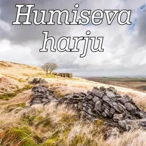 Humiseva harju (e-bok) av Emily Brontë Fynd