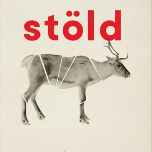 Endast idag Stöld (e-bok) av Ann-Helén Laestadius