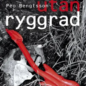 Sista chansen Mannen utan ryggrad (e-bok) av Peo Bengtsson
