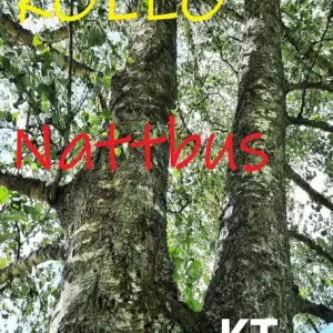 SOMMARKOLLO Nattbus (homoversion) (kort text) (e-bok) av Roy Panen Kundfavorit