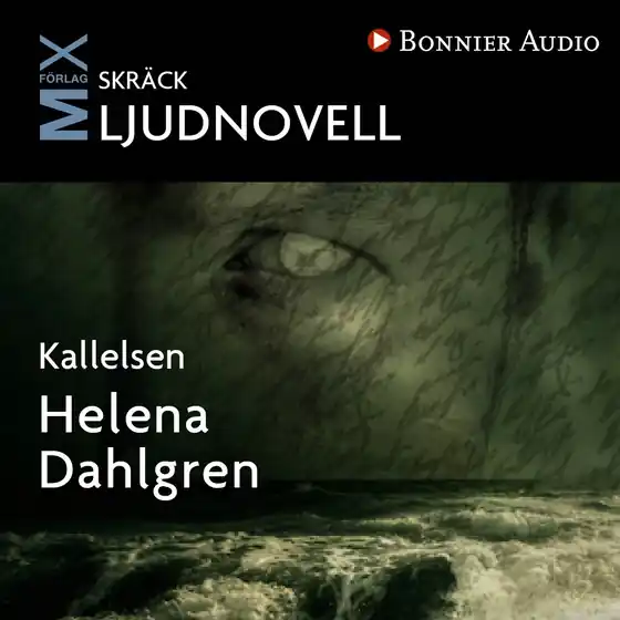 Bästa pris Kallelsen (ljudbok) av Helena Dahlgren