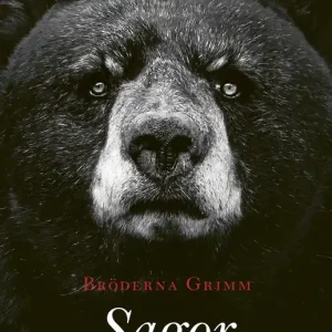 Sagor (e-bok) av Bröderna Grimm Sänkt pris