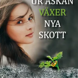 Trygg betalning Ur askan växer nya skott (e-bok) av Maria Karström