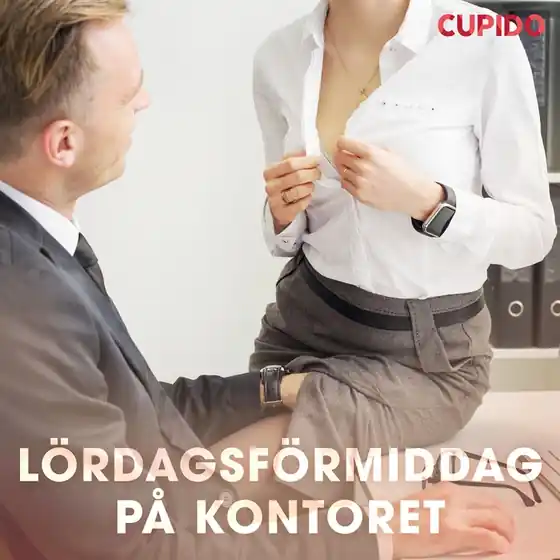 Lördagsförmiddag på kontoret (ljudbok) av Cupido Rabatter