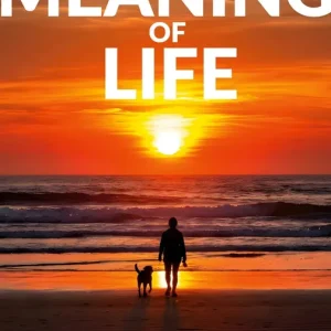 How to Find Meaning of Life: Your guide to life (e-bok) av Henrik X Magnusson Billigare