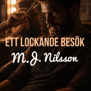 Snabb frakt Ett lockande besök (e-bok) av M.J. Nilsson