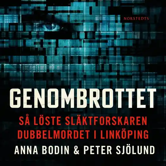 Reapris Genombrottet : så löste släktforskaren dubbelmordet i Linköping (ljudbok) av Peter Sjölund