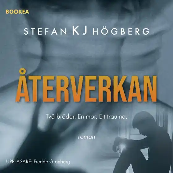 Återverkan (ljudbok) av Stefan KJ Högberg Billig