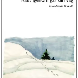 Expressleverans Rakt igenom går din väg (e-bok) av nne-Marie Briandt