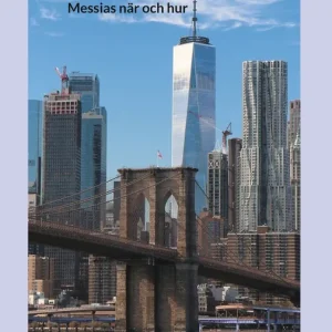 Kundfavorit Svaren: Messias när och hur (e-bok) av Jonas Hedström