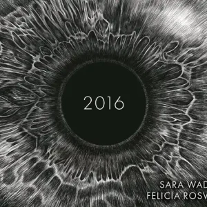 2016 (e-bok) av Sara Wadell Sista chansen