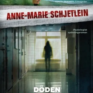 Sista chansen Döden kvittar det lika (e-bok) av Anne-Marie Schjetlein