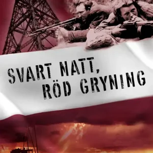 Svart natt, röd gryning (e-bok) av Henrik Wennesund Utförsäljning