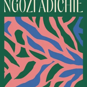 Drömräkning (e-bok) av Chimamanda Ngozi Adichie Kampanj