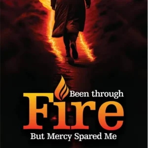 Handla nu Been Through Fire But Mercy Spared Me (e-bok) av Ekeocha Mercy Odinakachi