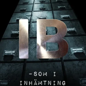 Trygg betalning IB - som i inhämtning Birger (e-bok) av Lena Ebervall