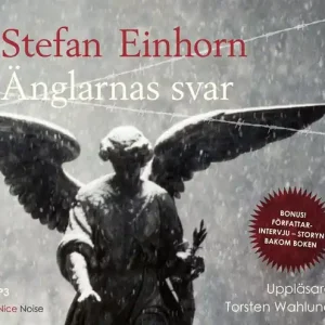 Änglarnas svar (ljudbok) av Stefan Einhorn I lager