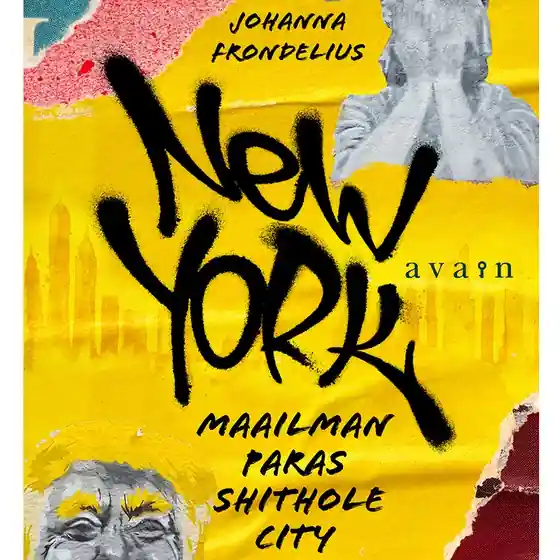 Fynd New York (ljudbok) av Johanna Frondelius