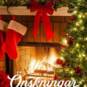 Önskningar i juletid (e-bok) av Annie Claydon Premium