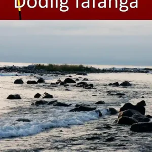 Kampanjpris Dödlig fåfänga (e-bok) av Sofia Wallstén