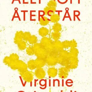 Allt som återstår (e-bok) av Virginie Grimaldi Fynd