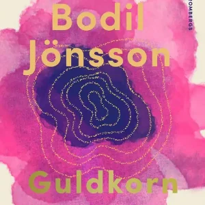 Bodils bästa | 1:a upplagan Nedsatt pris