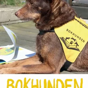 Bokhunden : och en och annan läshund | 0:e upplagan Begränsat antal