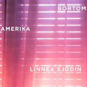 Bästa pris Bortom Amerika | 0:e upplagan