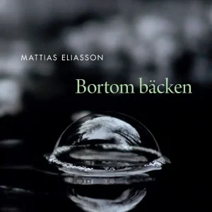 Bortom bäcken | 1:a upplagan Säker betalning