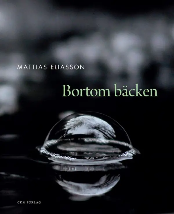 Bortom bäcken | 1:a upplagan Säker betalning