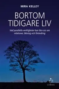 I lager Bortom tidigare liv : vad parallella verkligheter kan lära oss om relationer, läkning och förändring | 1:a upplagan