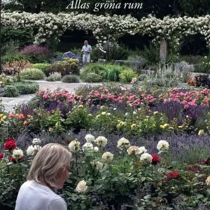 Beställ idag Botan - Allas gröna rum | 0:e upplagan
