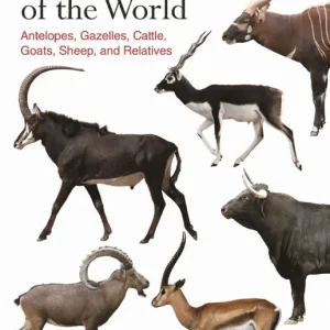 Köp nu Bovids of the World | 0:e upplagan