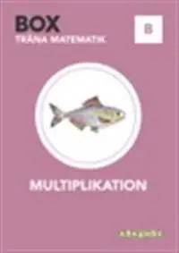 BOX Multiplikation B | 1:a upplagan Fynd