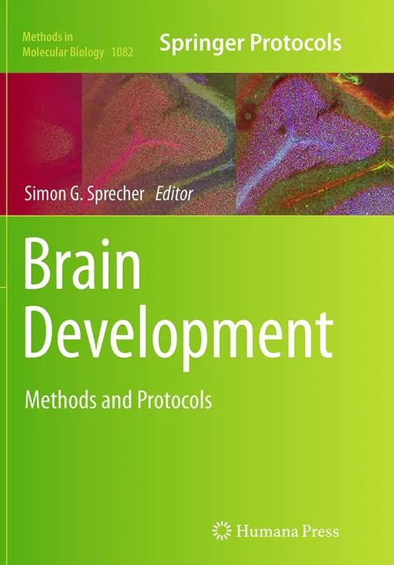 Brain Development | 1:a upplagan Nedsatt pris