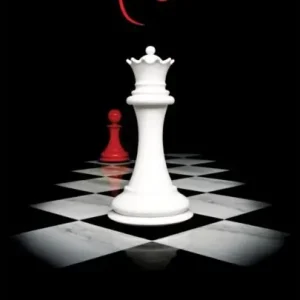 Fynd Breaking Dawn | 0:e upplagan