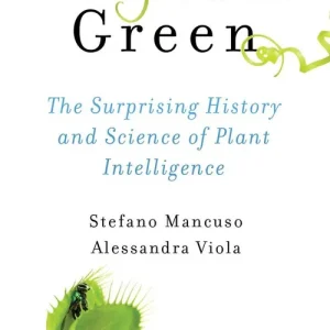 Brilliant Green | 0:e upplagan Snabb frakt