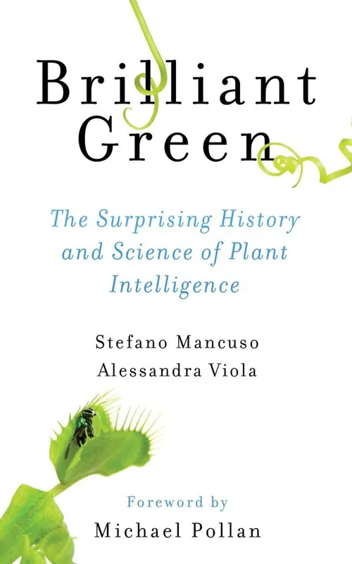 Brilliant Green | 0:e upplagan Snabb frakt