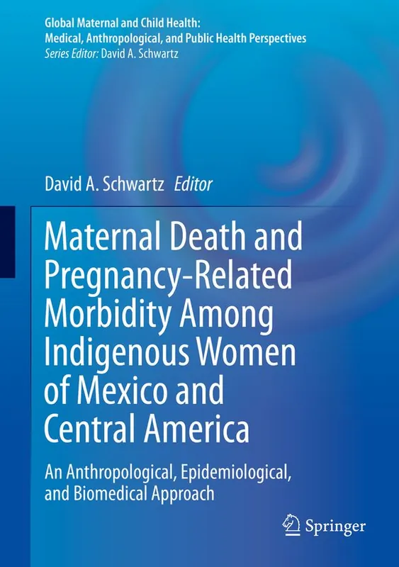 Sänkt pris Maternal Death and Pregnancy-Related Morbidity Among Indigenous Women of Mexico and Central America | 1:a upplagan